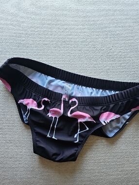 Black Briefs with Pink Flamingo Print - Men’s Swim/Underwear